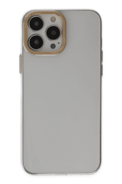 Newface iPhone 13 Pro Kılıf Anka PC Sert Metal Kapak - Şeffaf resmi