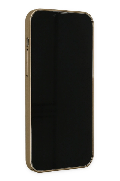 Newface iPhone 13 Pro Kılıf Jack Magneticsafe Lens Silikon - Gold resmi