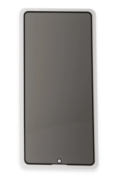 Newface Xiaomi Redmi Note 12 4G 3D Antistatik Hayalet Cam Ekran Koruyucu resmi