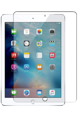 Newface iPad Pro 13 (2024) Tablet Cam Ekran Koruyucu resmi